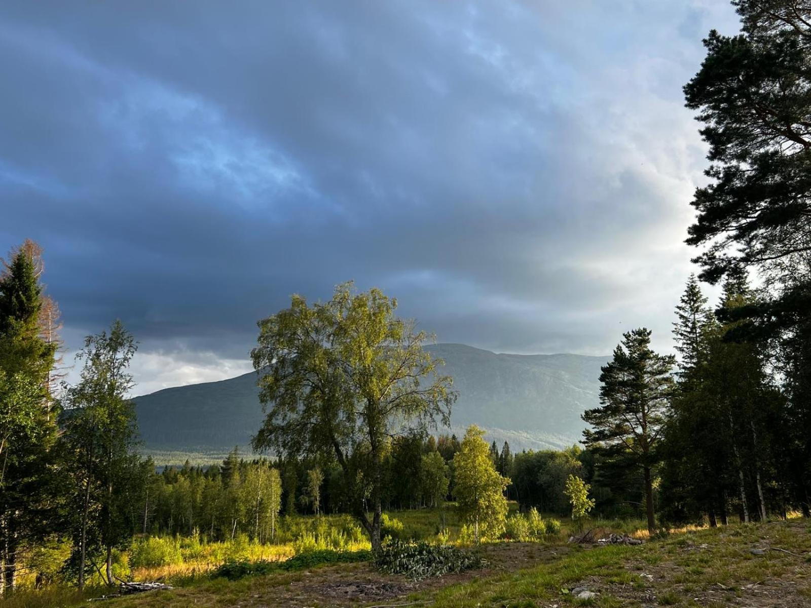Mountain Holiday Homes - Ottsjoe, Trillevallen -Sweden Åre Quarto foto